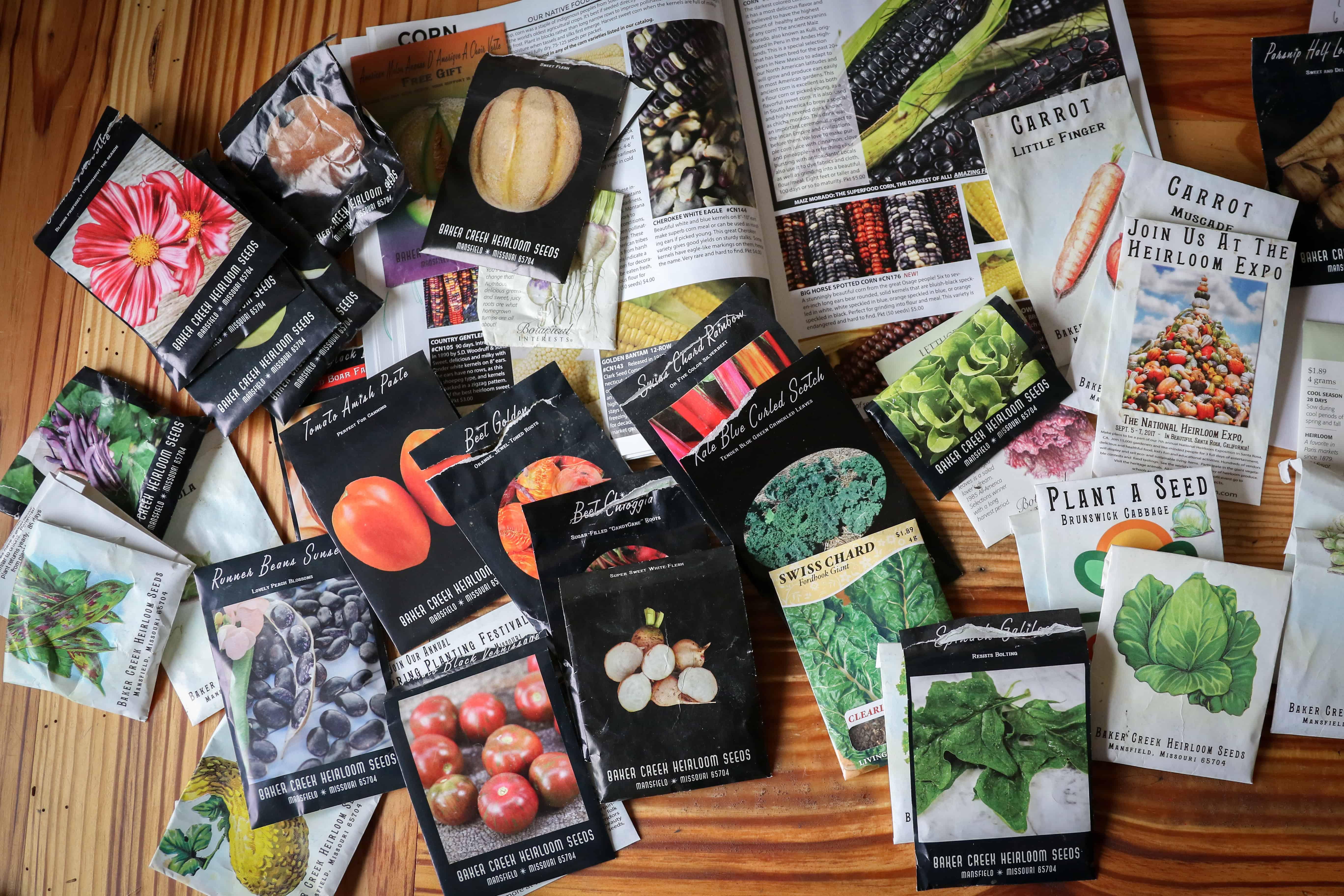 Where to Buy Heirloom Seeds • The Prairie Homestead