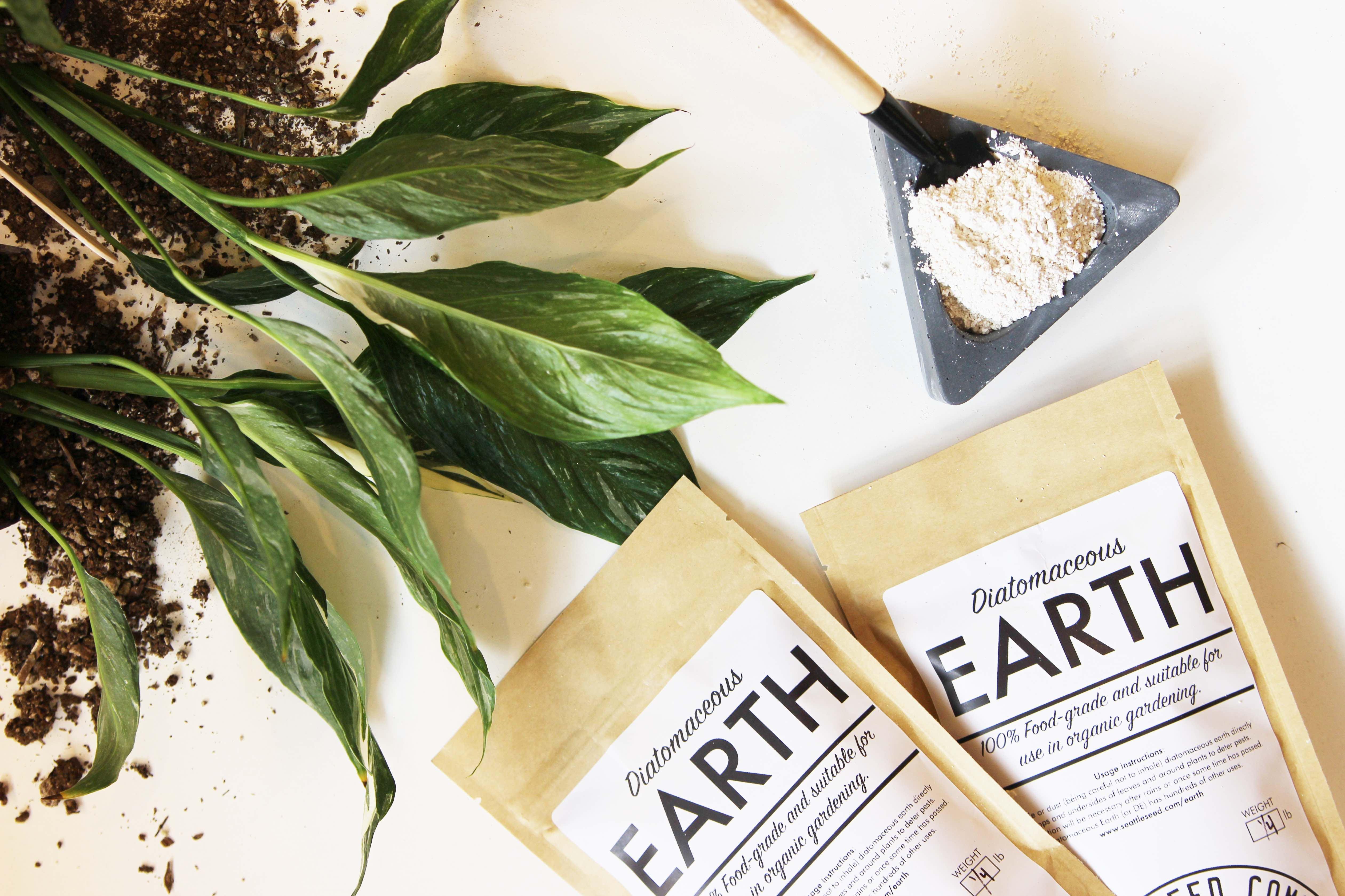 Benefits of Using Diatomaceous Earth in the Organic Garden ...