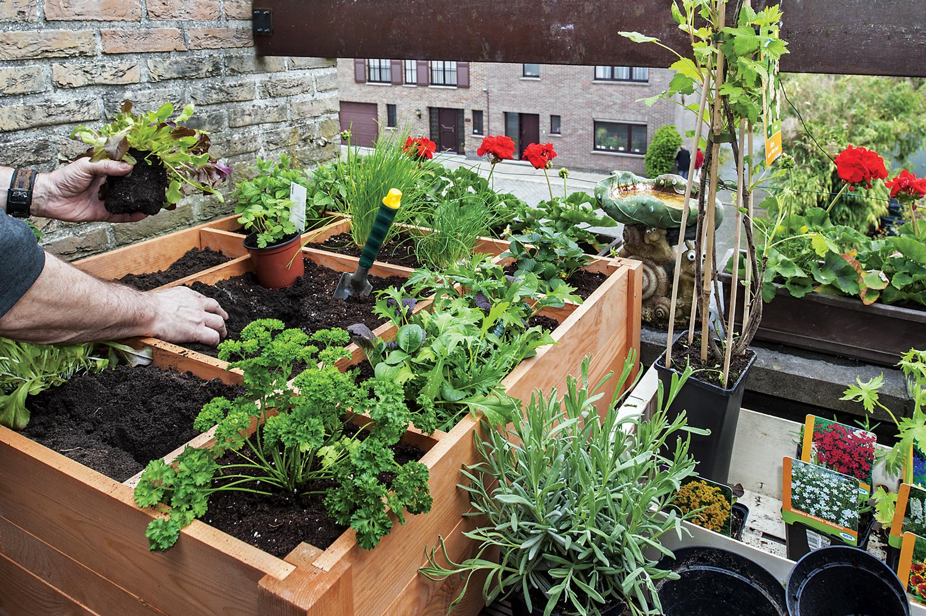 High Intensity Gardening – Mother Earth News