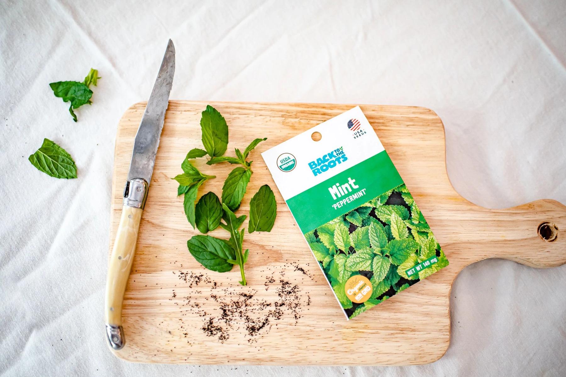 Organic Seeds: Hints and Tips for Your Best Garden Ever