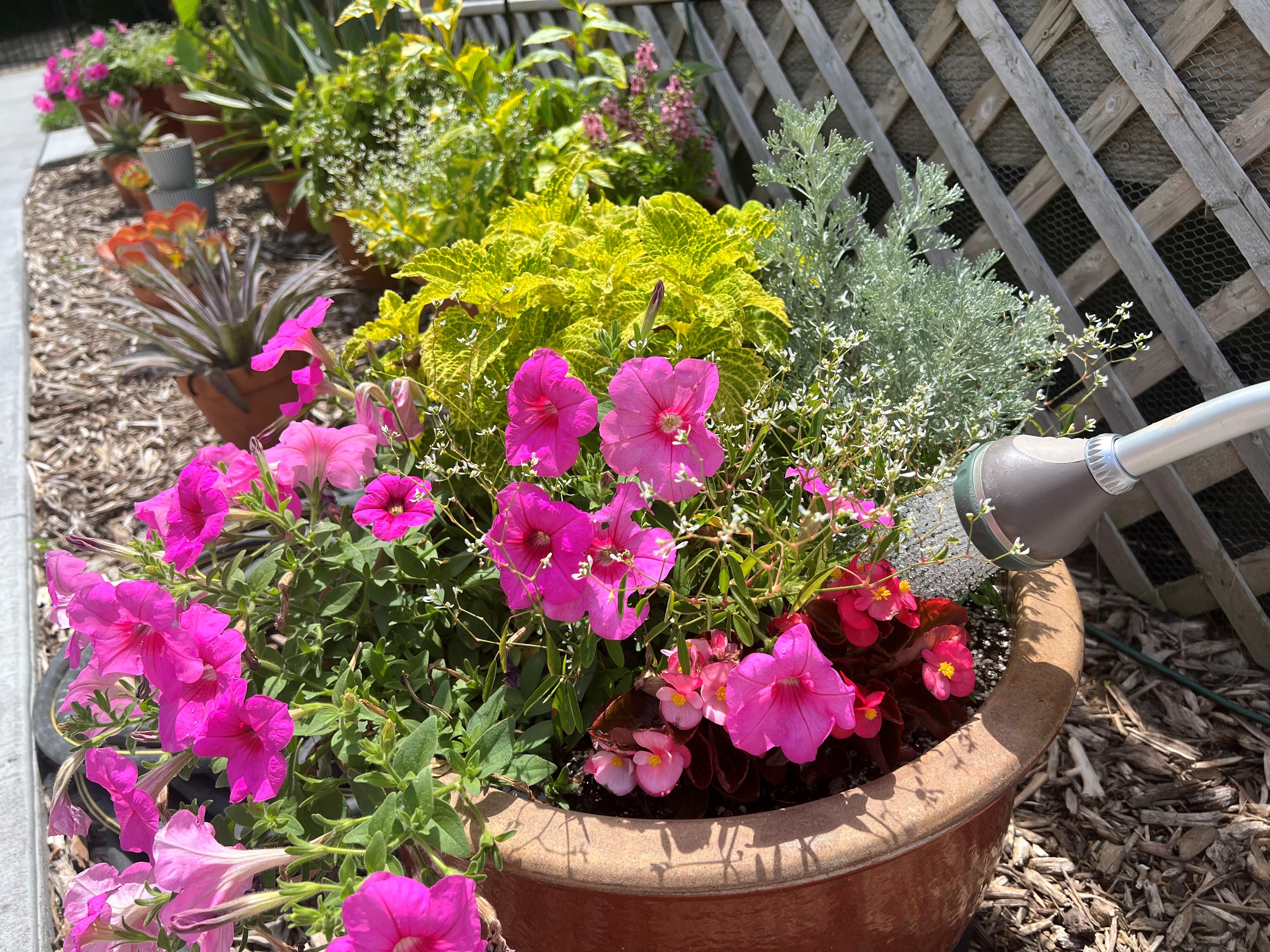 Watering Tips for the Garden, Lawn, and Landscape | Yard and Garden