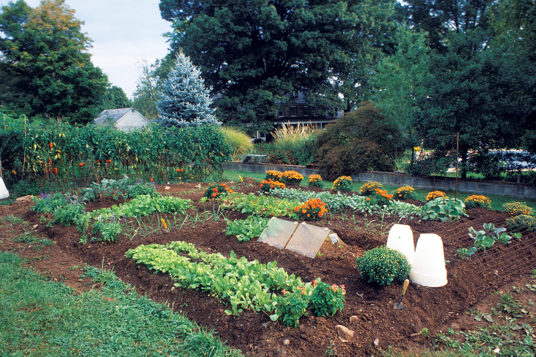 How To Make Soil Fertile Naturally – Mother Earth News