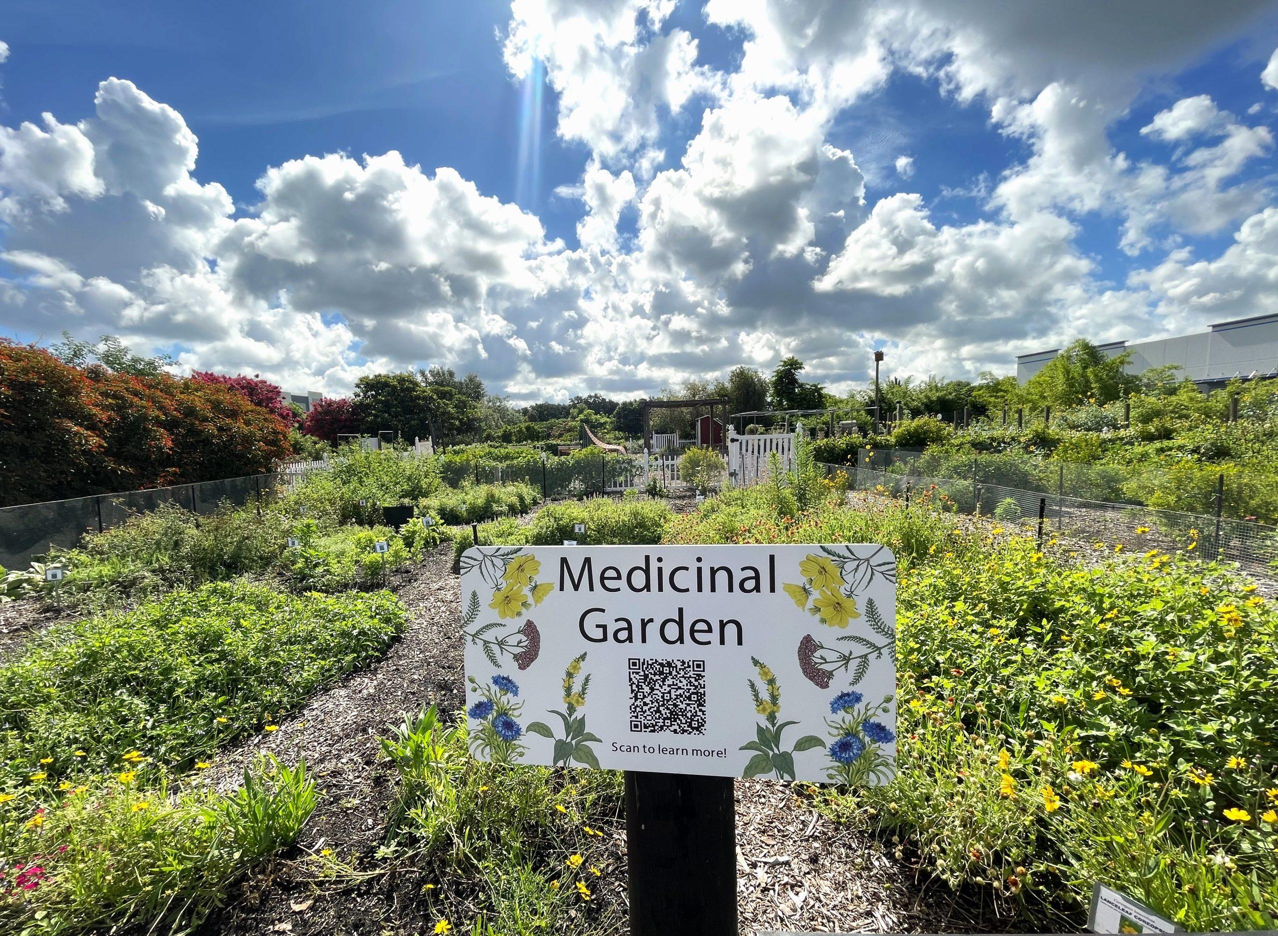 Harvesting Health: Medicinal Plants for the Central Florida Garden ...