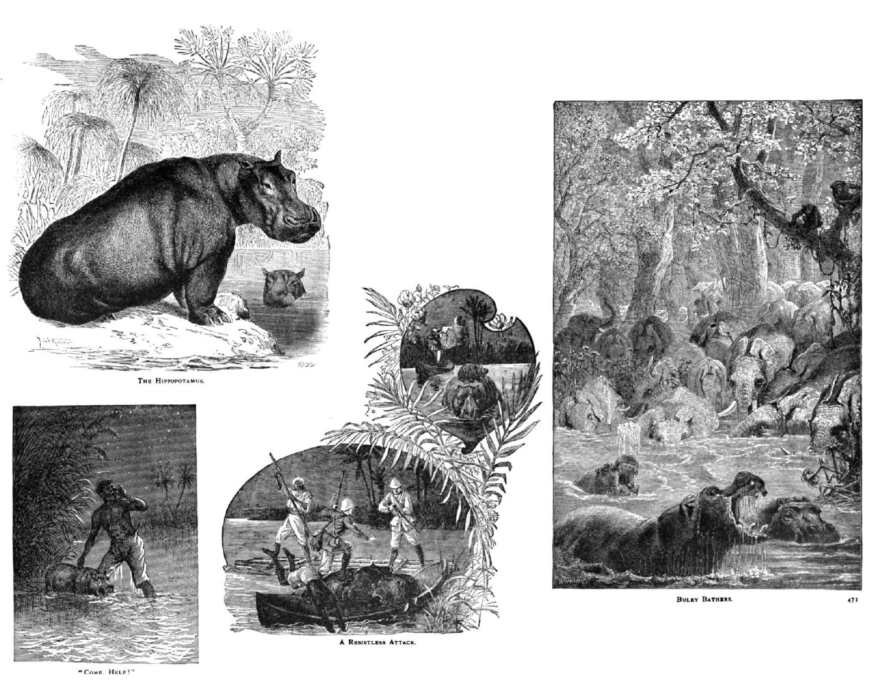P.T. BARNUM. THE WILD BEASTS, BIRDS AND REPTILES OF THE WORLD, THE ...