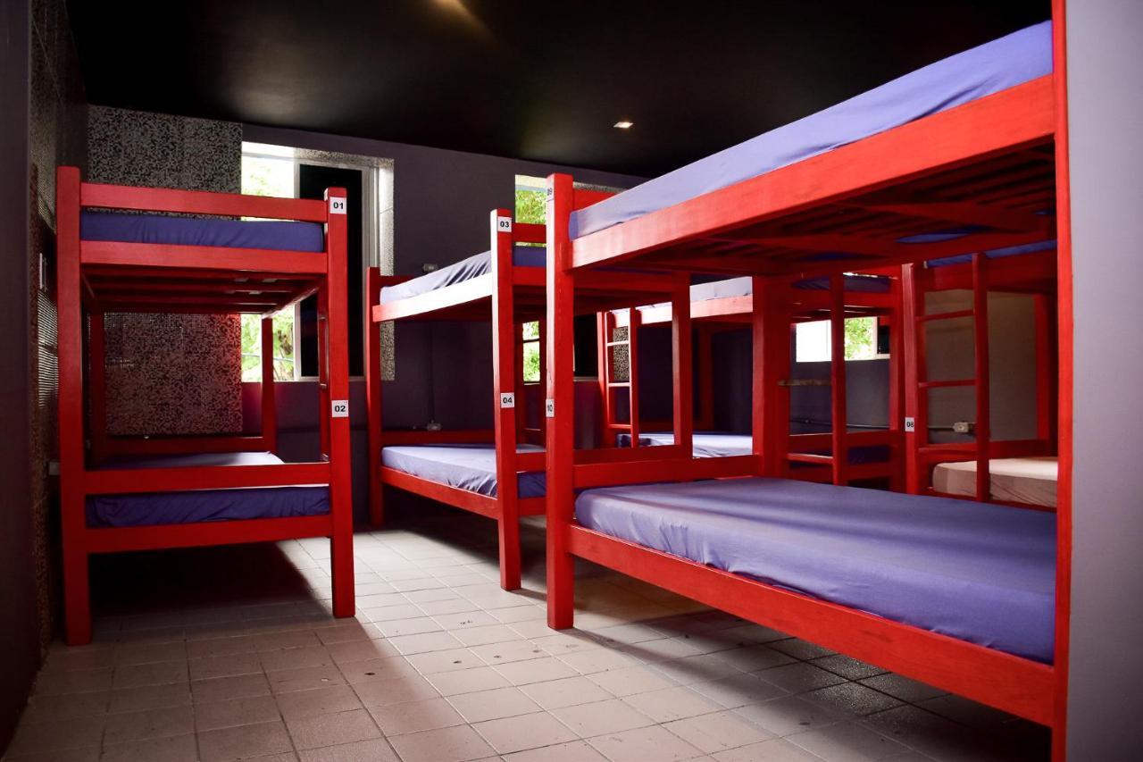 Bunk Bed Mixed Dormitory Room,1138848397:JPEG