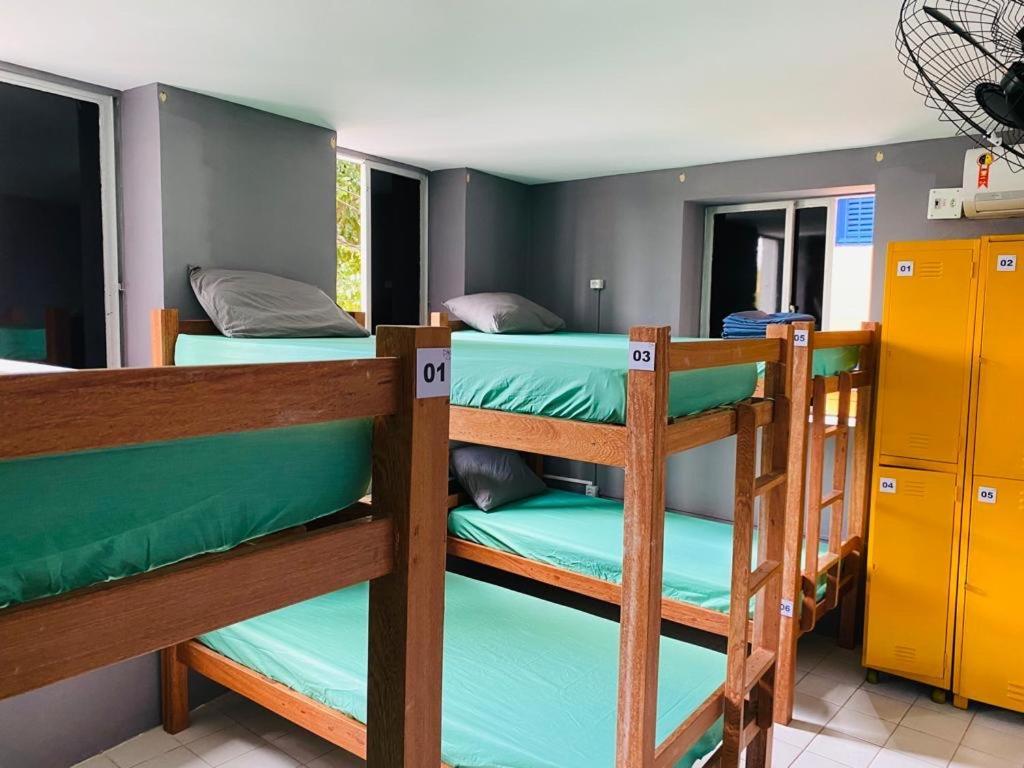Bunk Bed in Mixed Dormitory Room