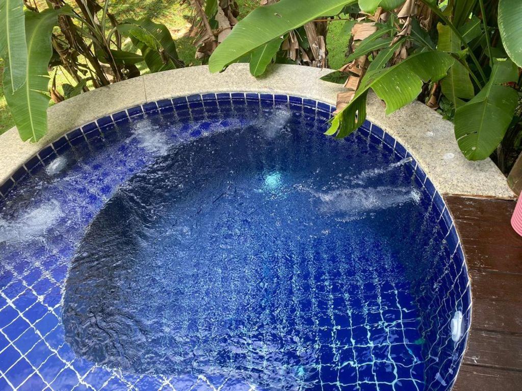 Bangalô Deluxe com Vista do Jardim