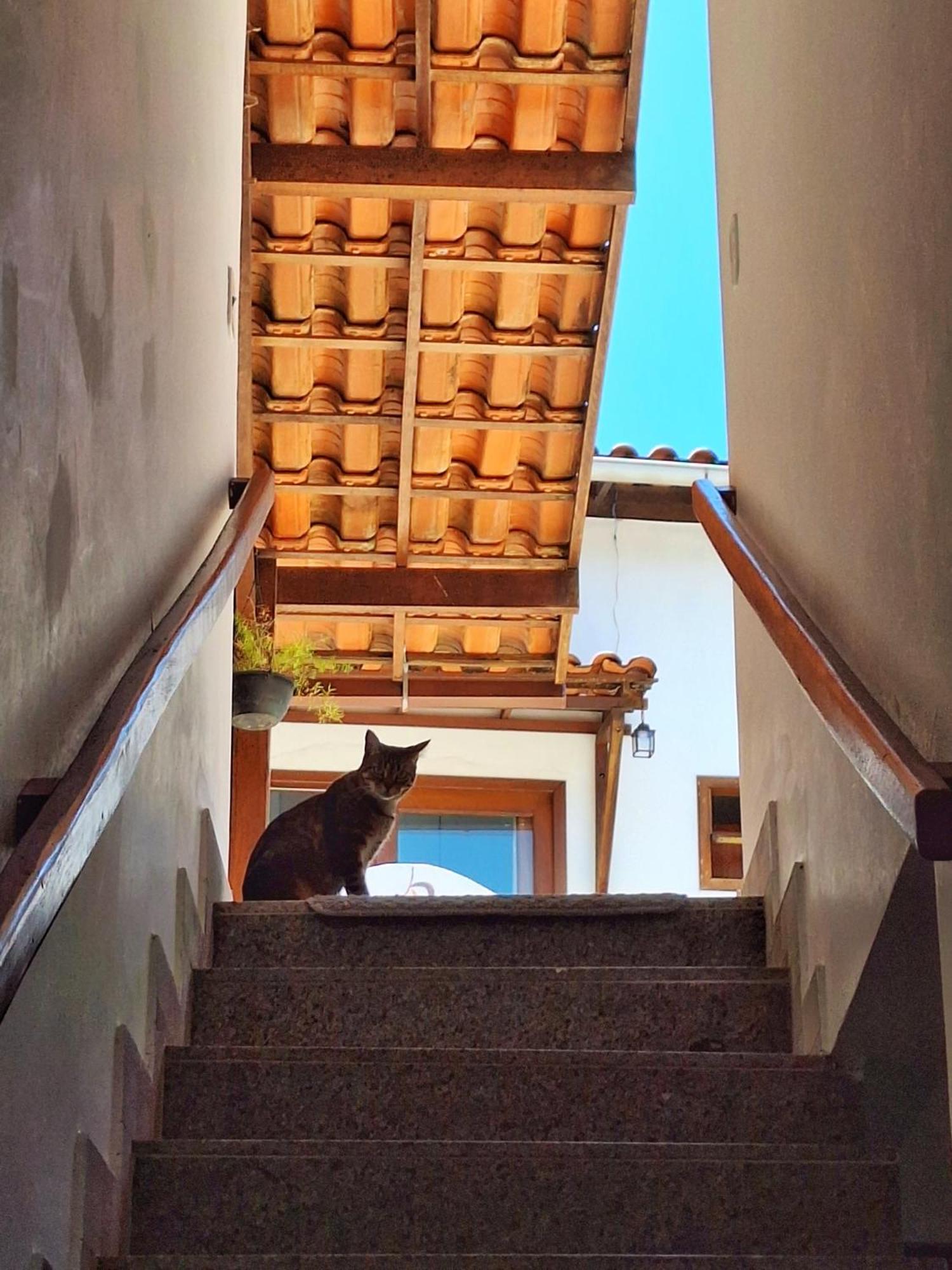 Standard Suite,1540740349:JPEG