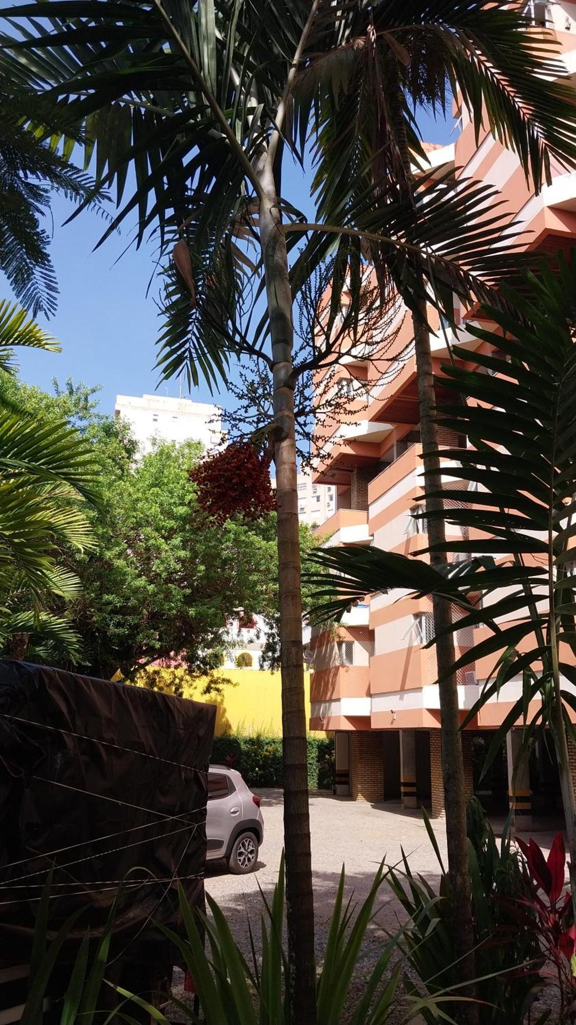 Apartamento de 1 dormitorio