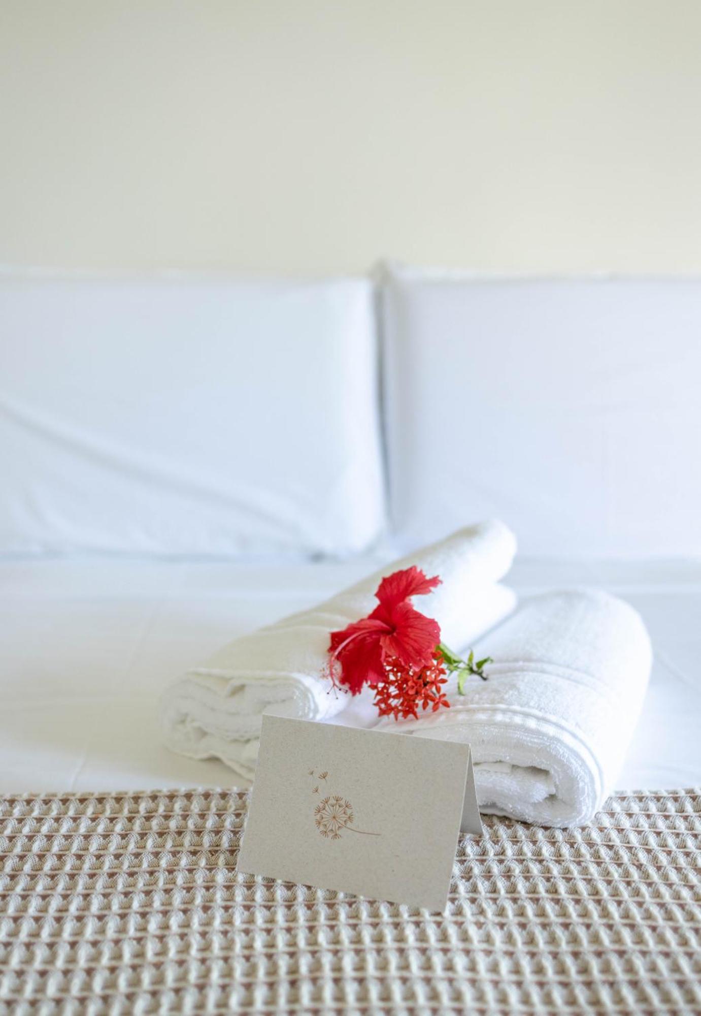 Standard Triple Room,1746976363:JPEG