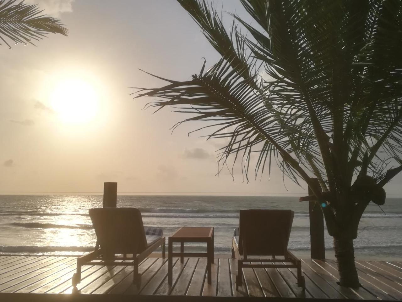 Bungalow - Beach Front,1005891697:JPEG