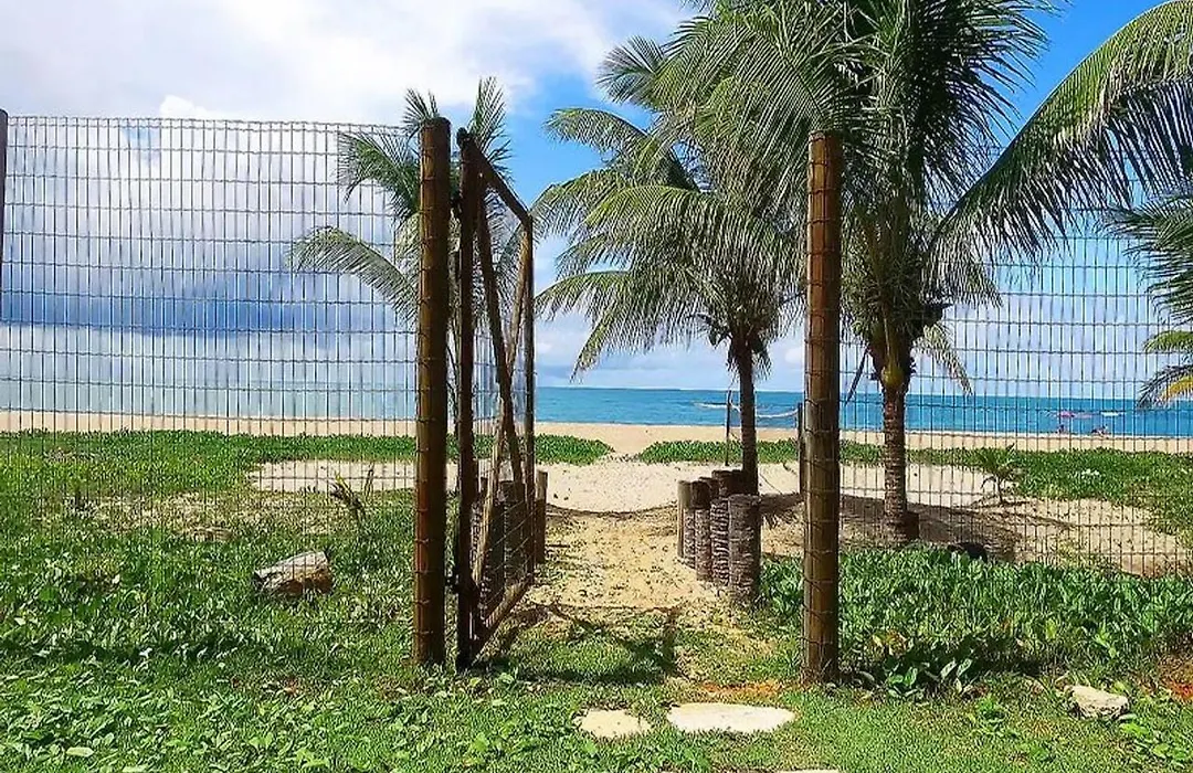 Areias de Itacimirim-1
