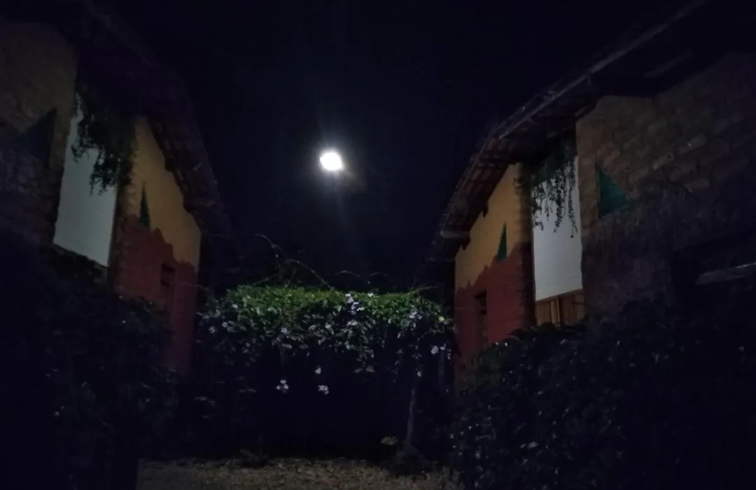 Chales Savi-1