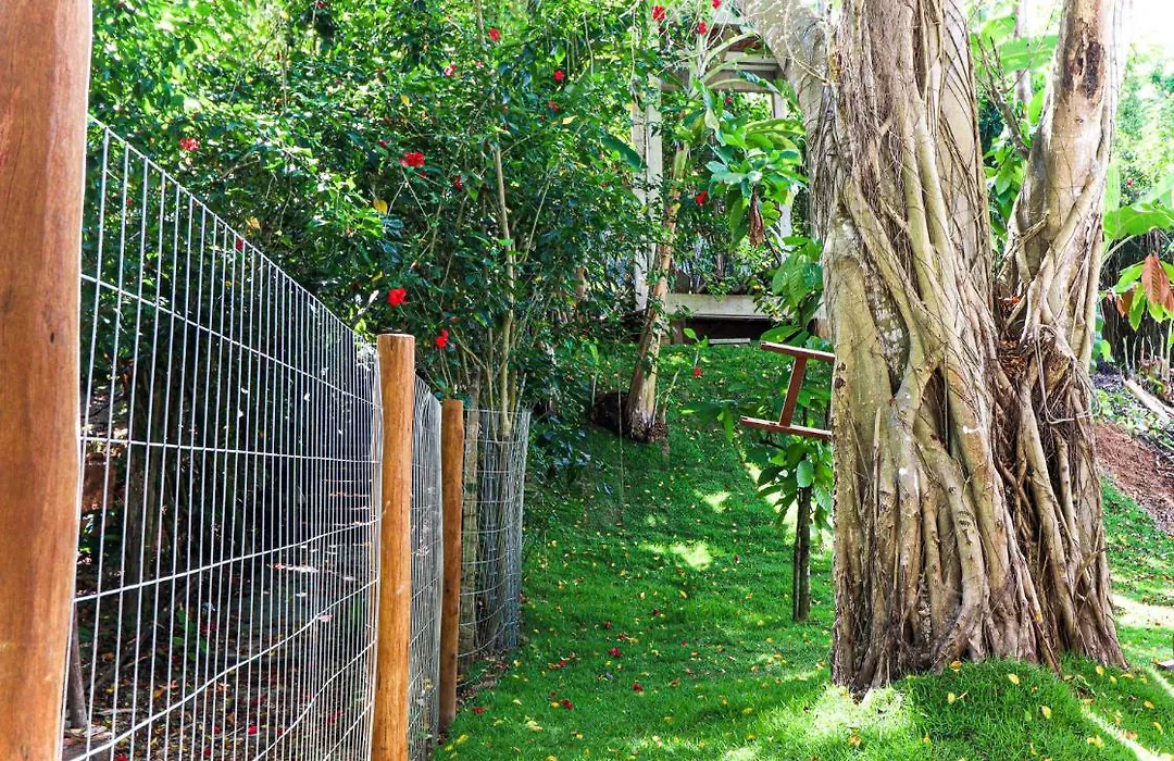 Campos Elísios Boipeba-1