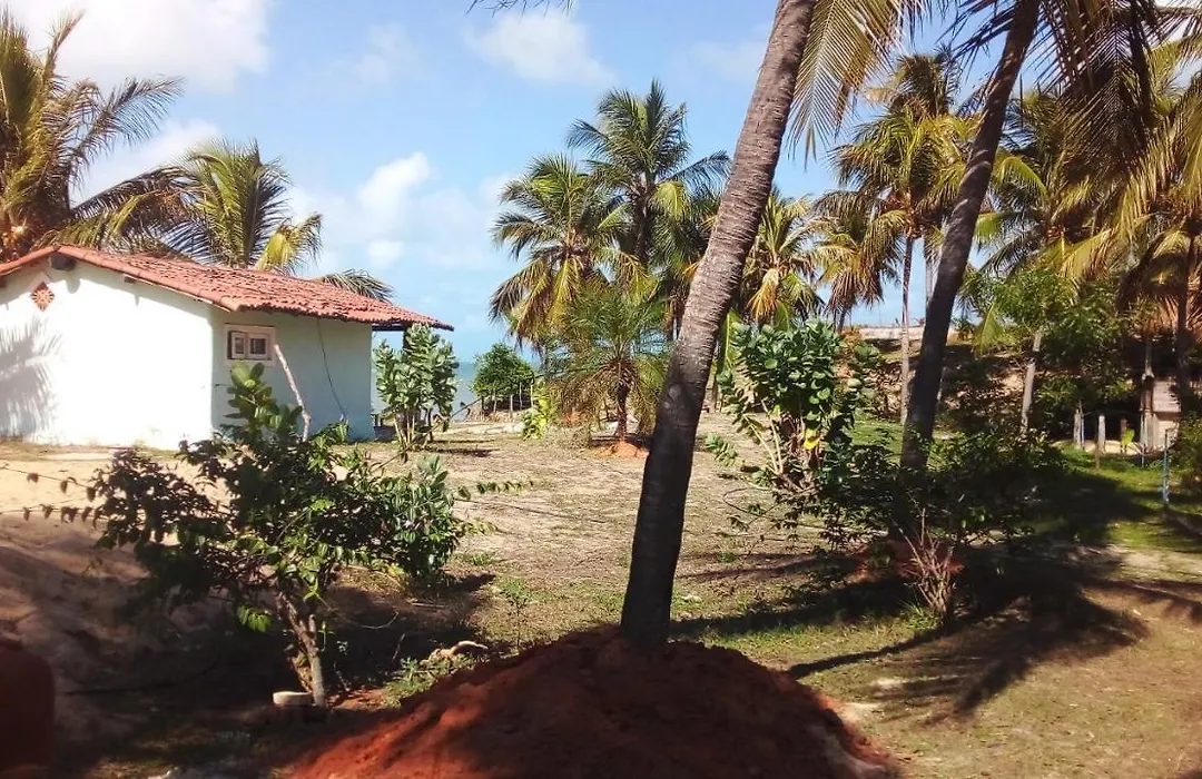Lagoa dos Coqueiros-1
