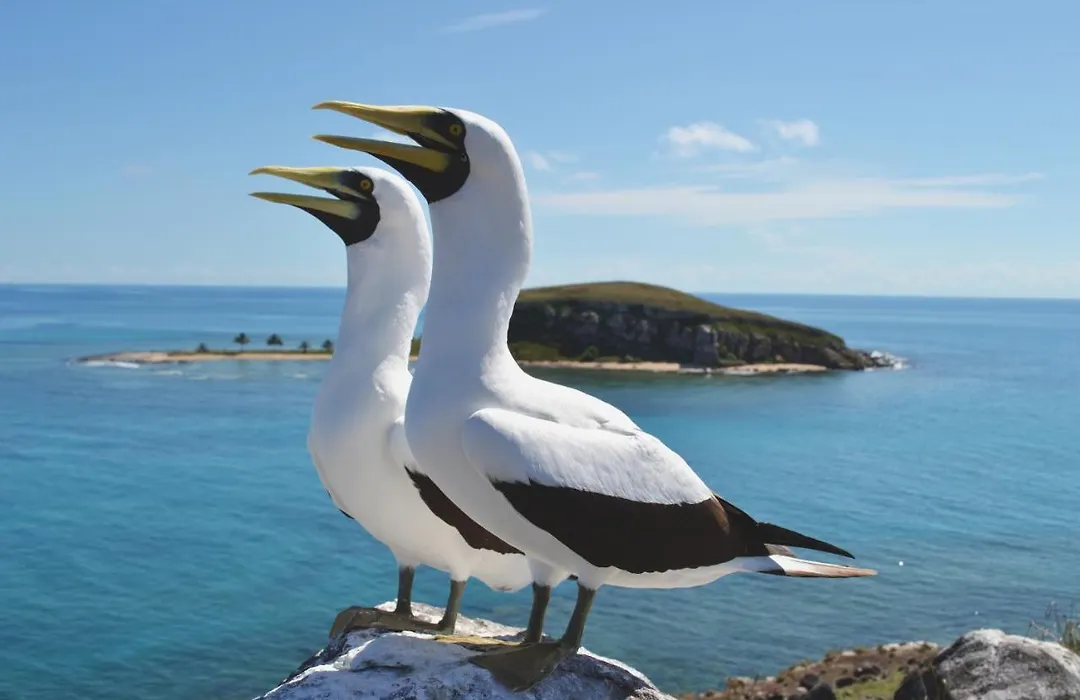 pousada corais de abrolhos-1