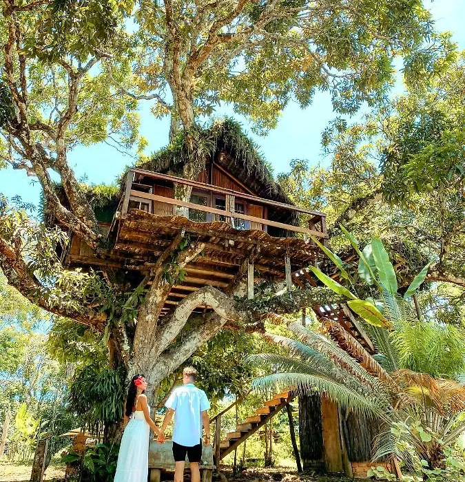 Art Jungle Eco Lodge-1