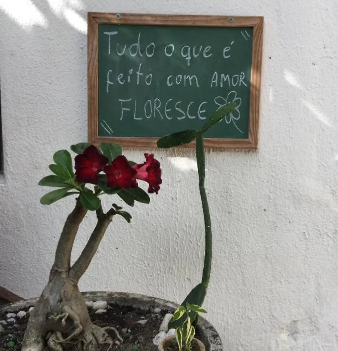 Pousada Alquimia-1