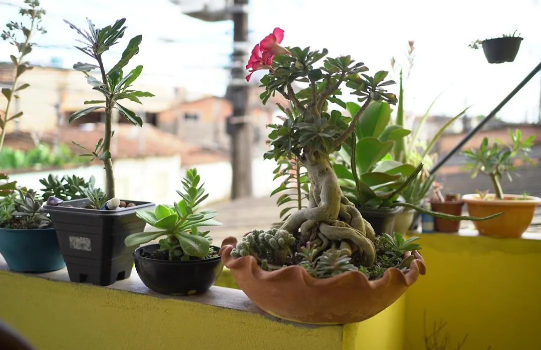 Porto Hostel-1