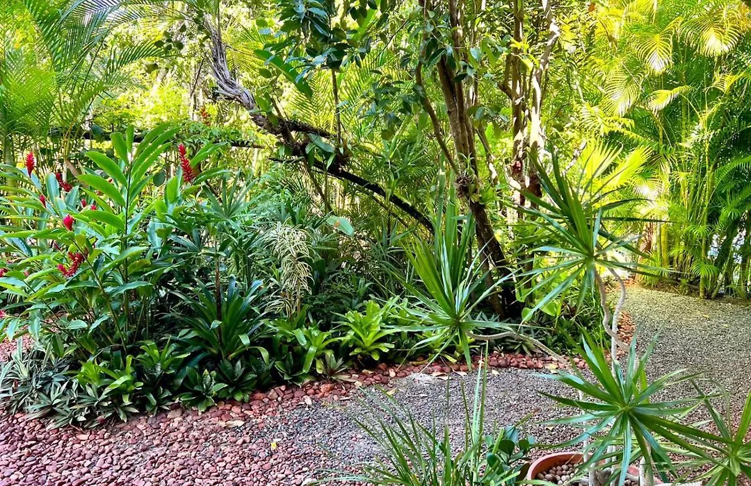 Bed and Breakfast Casalu-1
