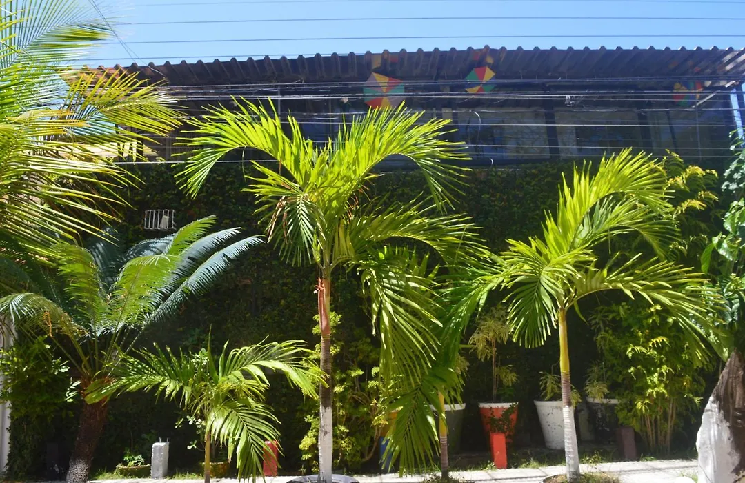 Pousada Olinda Delicia-1
