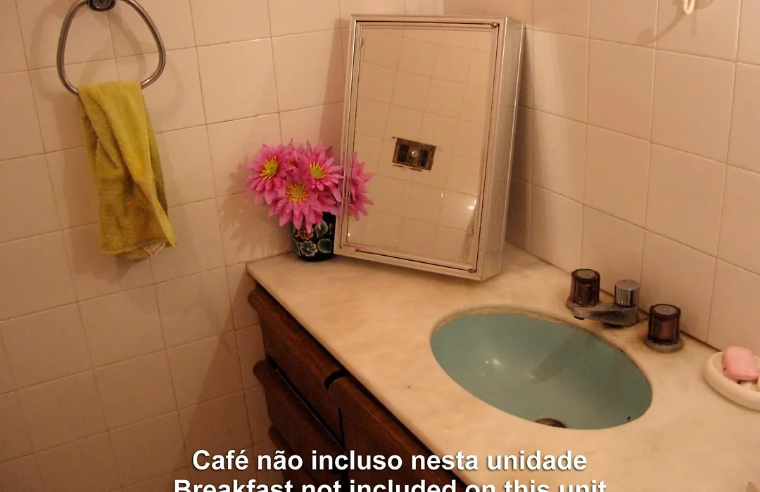 Arte Brasileira-1