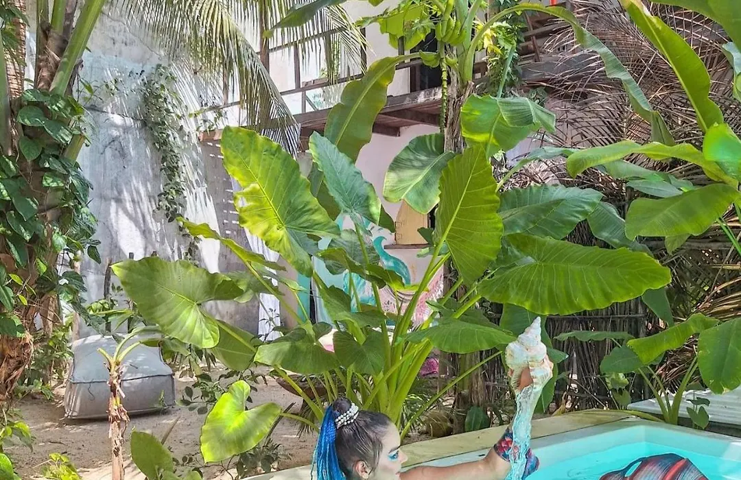 Vila Privativa Piscina 10 Px Limpeza Diaria Chale Da Sereia Oasis No Centro De Jericoacoara-1