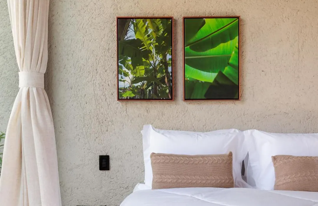 Natu Boutique Stays-1