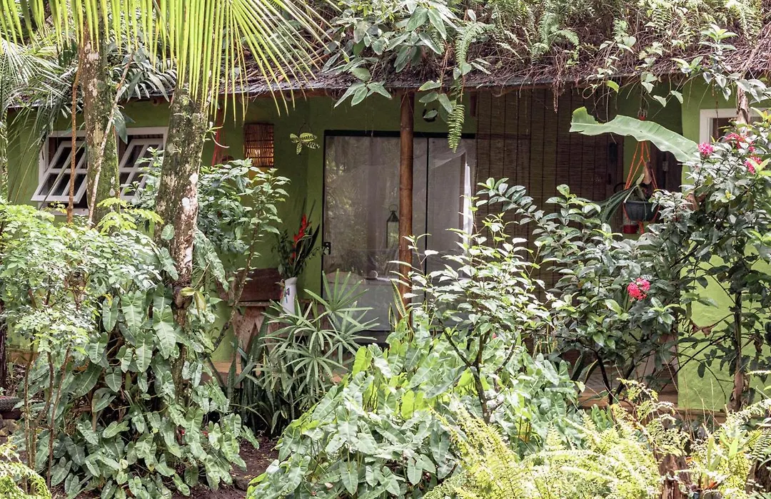 Butterfly House Bahia-1