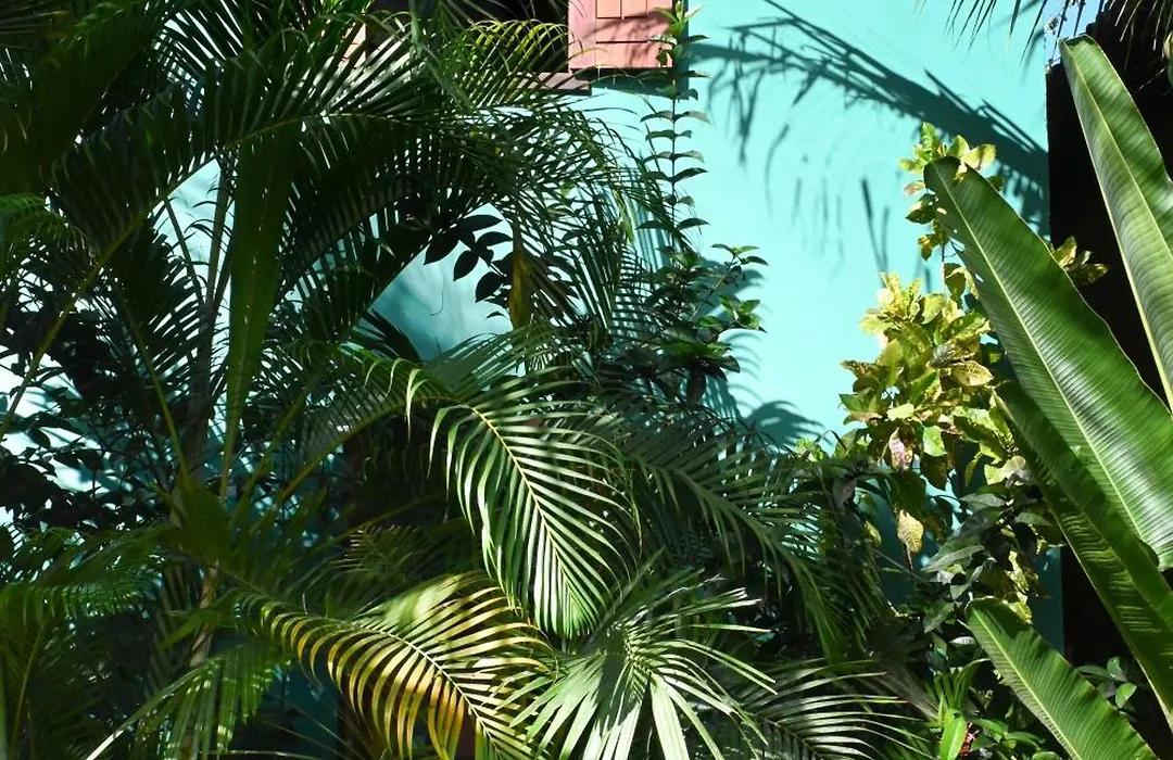 Pousada Habitat Caraíva-1