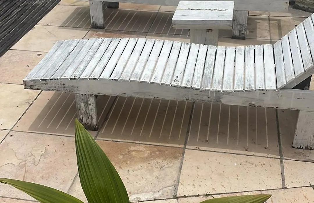 Casa Free Wind Jeri-1