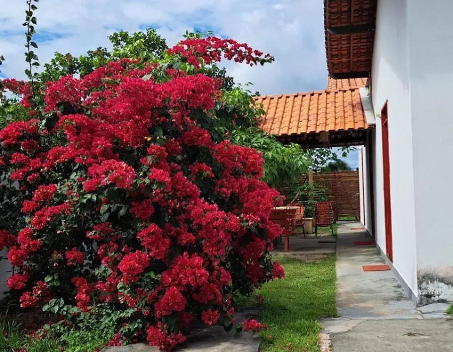 Hostel Flor de Ipê-1