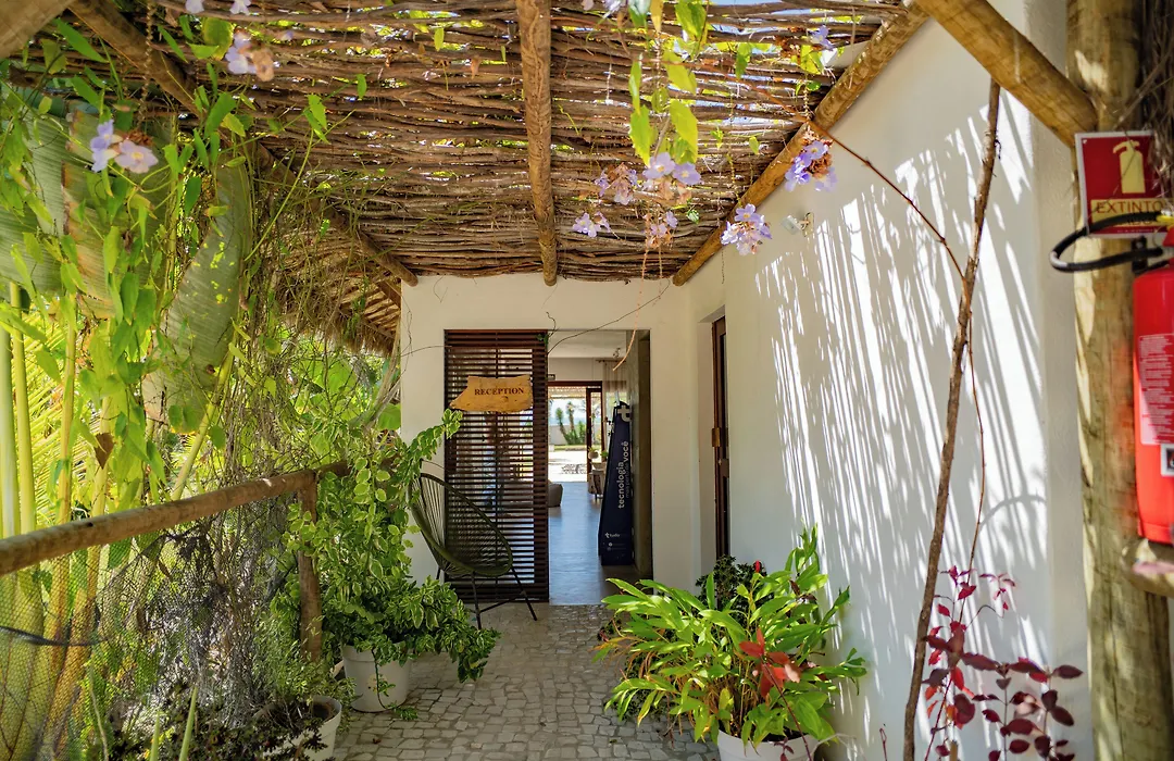 Zebra Boutique Hotel-1