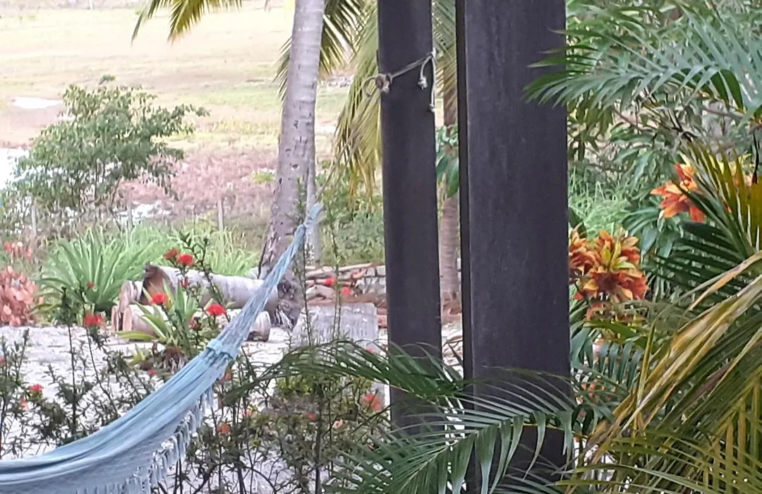 Ecolodge Batel Alagoas-1