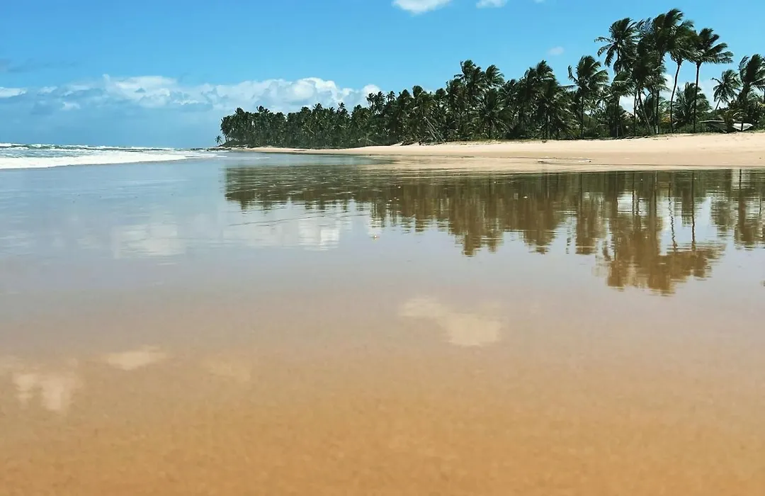 Maui Maui Wellness- Taipu De Fora - Barra Grande-1