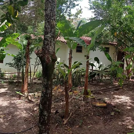 Hostel Pousada Casa Na Roca-2