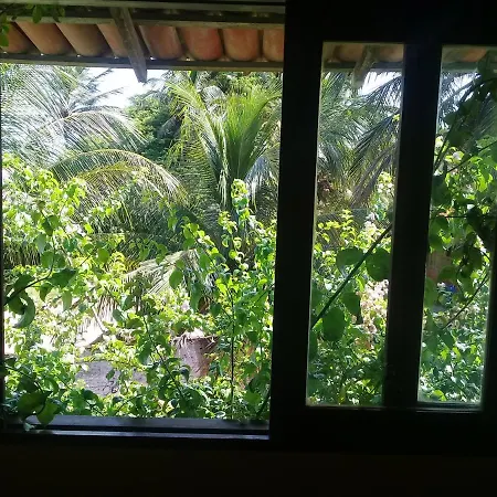 Vila Privativa Piscina 10 Px Limpeza Diaria Chale Da Sereia Oasis No Centro De Jericoacoara-3