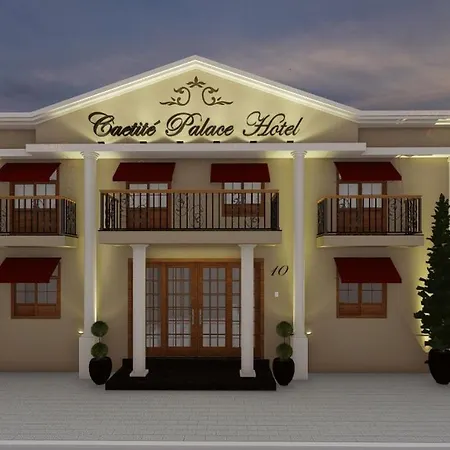 Caetite Palace Hotel-3