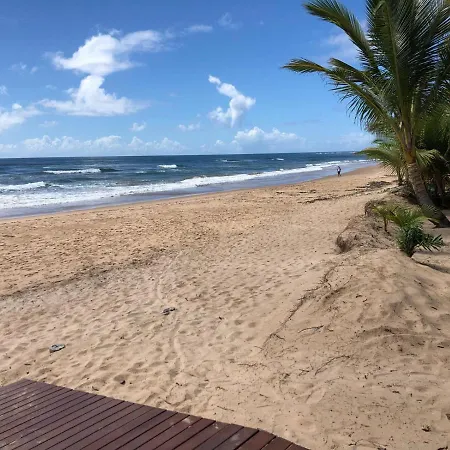 Vivant Eco Beach Resort-3