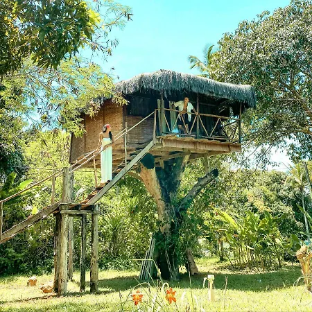 Art Jungle Eco Lodge-2