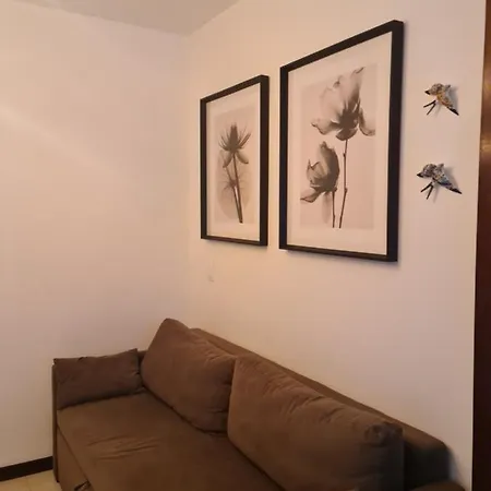 Lindo Flat Em Ondina-2