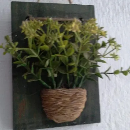 Suite Central Beco Das Flores-2
