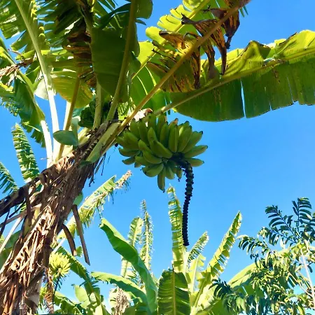 Branca Tropical Brasil Residencial- Taperapuan-2