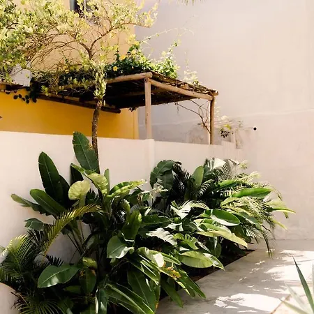Jeri Suites Accommodation-2