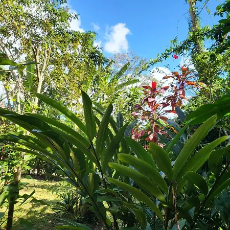 Casa Linda Boipeba-3