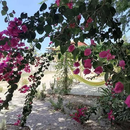 Dona Maragô Pousada-3