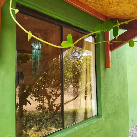 Casa Raizes Capao-2