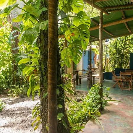 Villa Residencial Encantos Da Mata-2