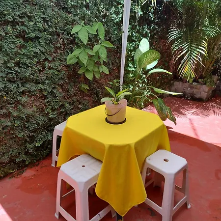 Perto Do Aeroporto De Salvador - Dona Pitanga Hostel-2