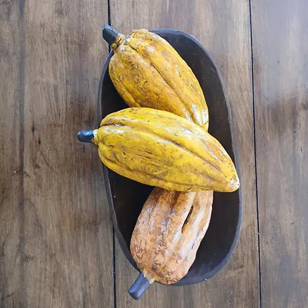 Pousada Cacau e Dendê-3